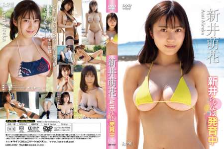 LCDV-41157 新井萌花 新井ちゃんは発育中 BD